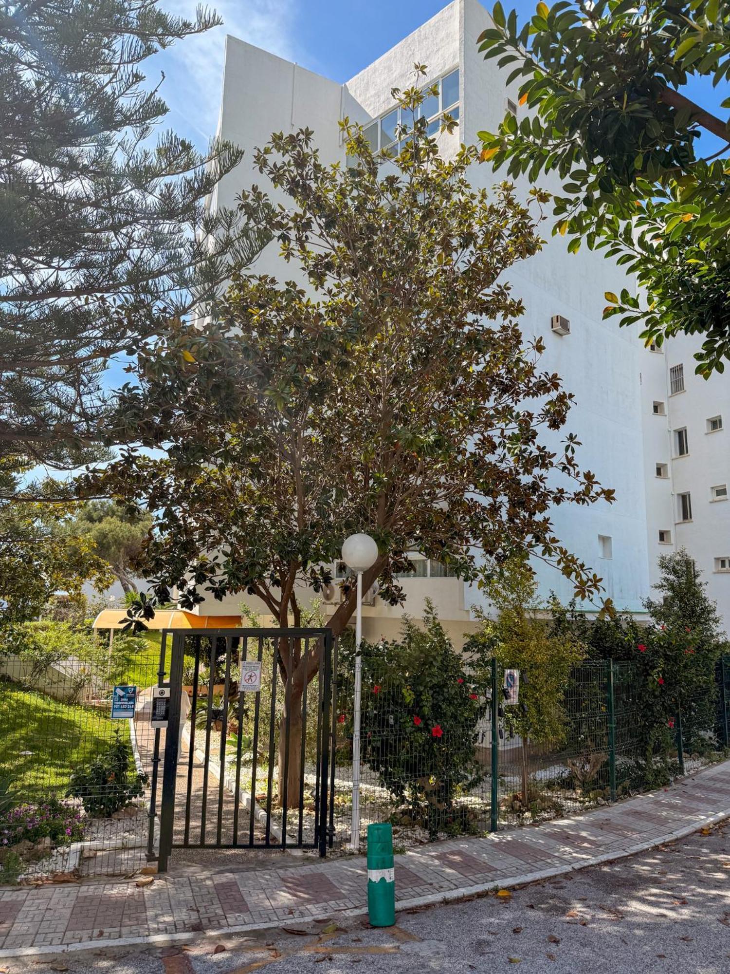 Casa La Luna- Beachfront 1br With Sea Views Apartamento Marbella